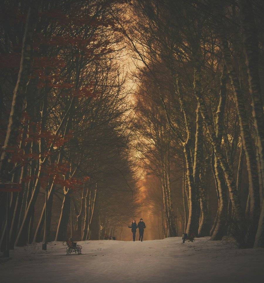 , Гладиш Юрій