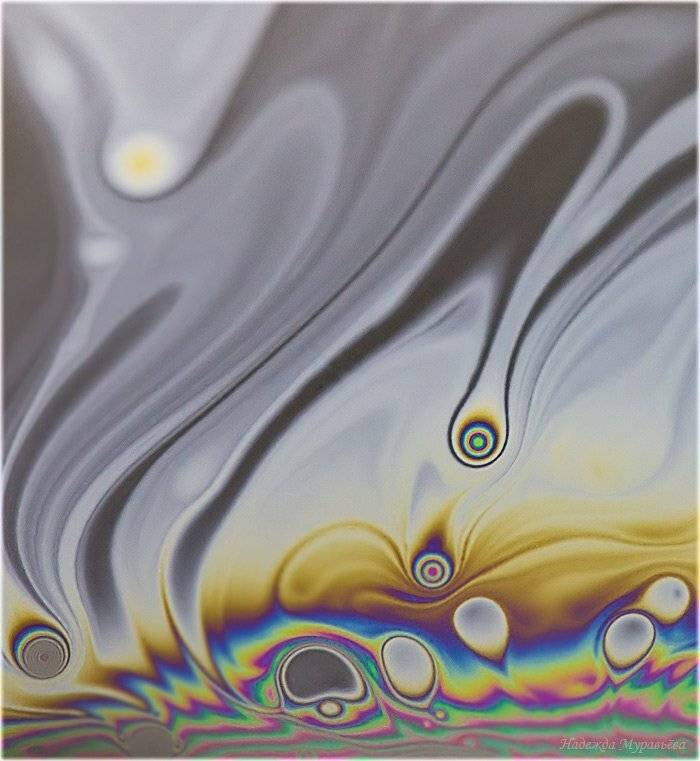 Гнездо, Интерференция, Лебедь, Птенцы, Птица, Надежда Муравьёва