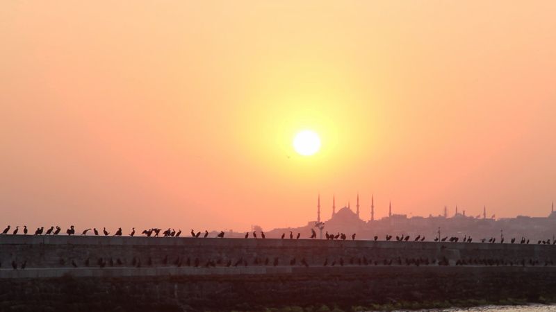 Стамбул, короткометражка фото превью