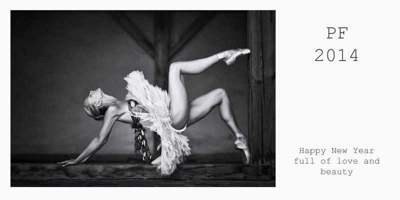 PF 2014 фото превью