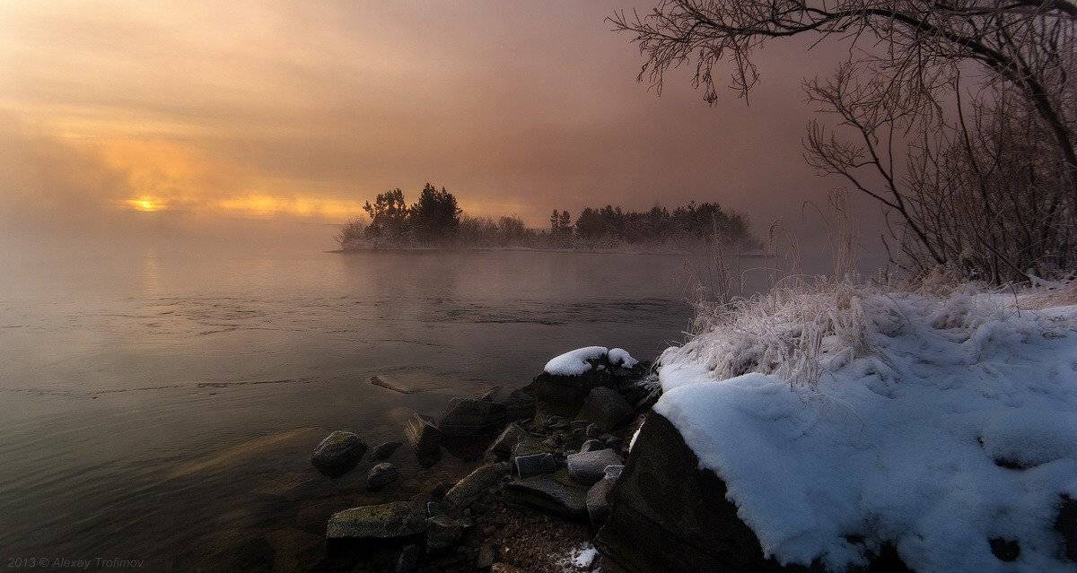 , Алексей Трофимов