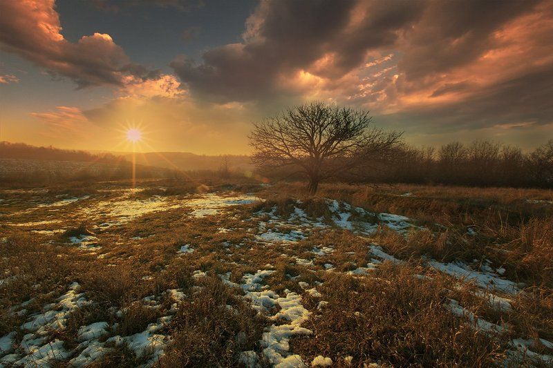 *** фото превью