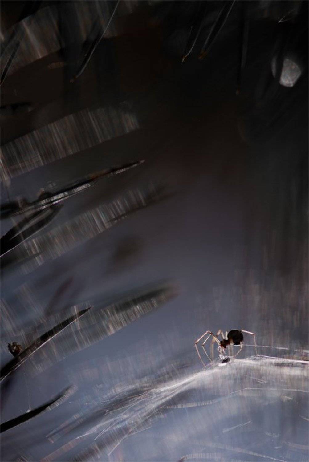 , Геннадий Мещеряков