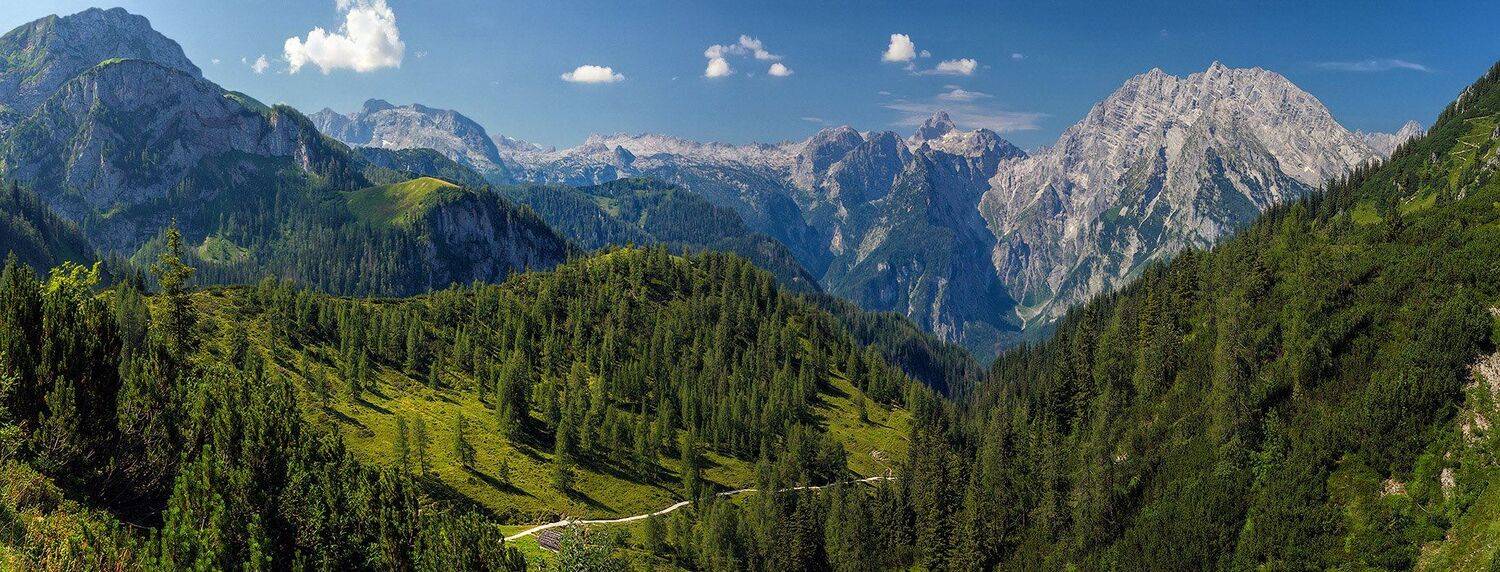 , Игорь Мелекесцев