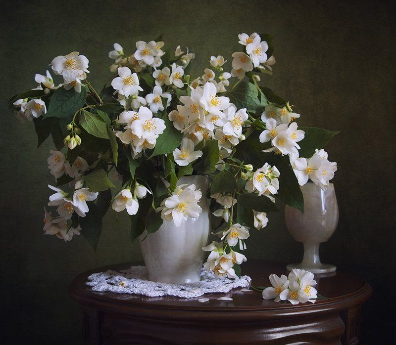 натюрморт Аромат жасмина фото превью