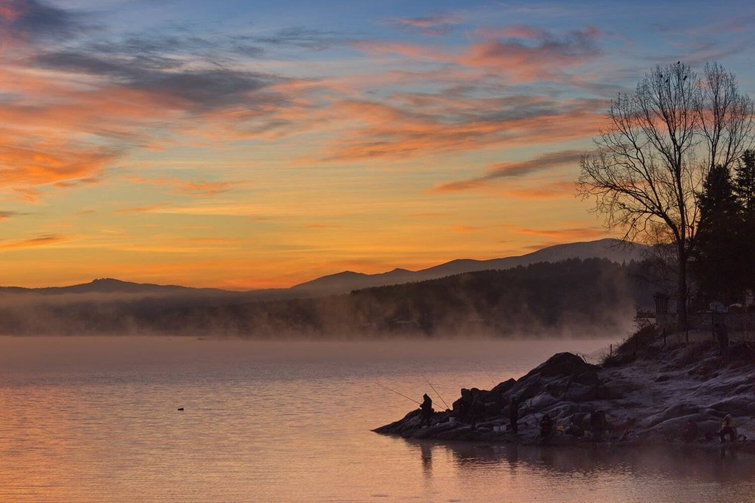 , Ирина Костова