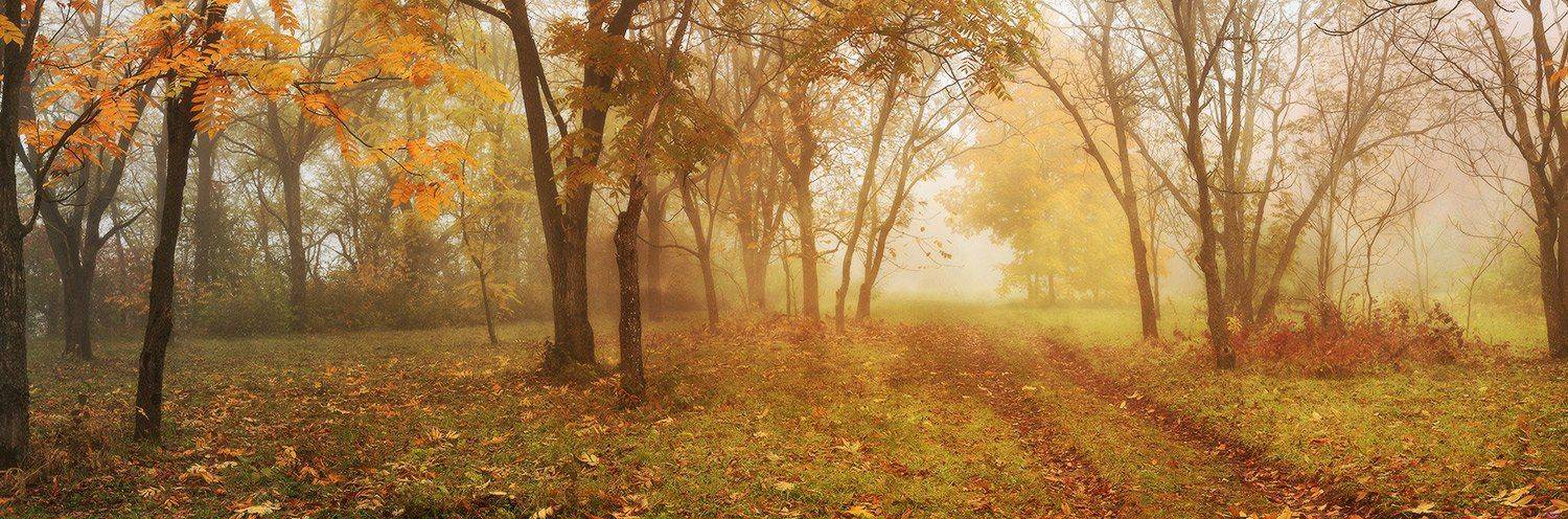 , Михаил  Пилипенко