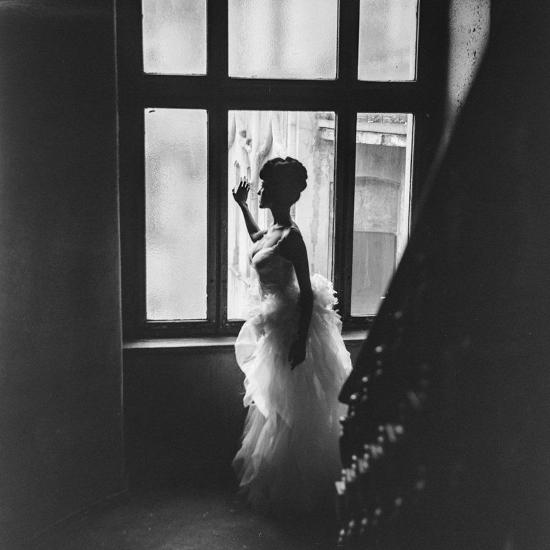 B. фото превью