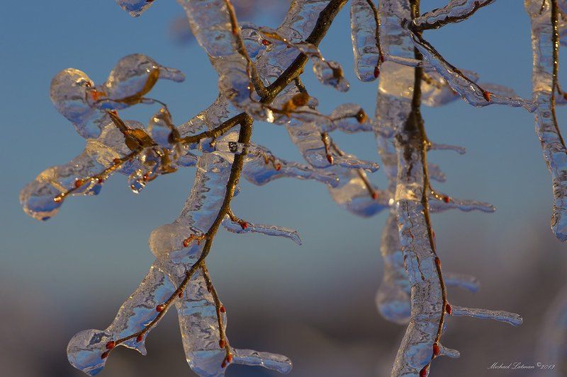 Ice, Sunset, Tree, Winter It\'s winter time! фото превью