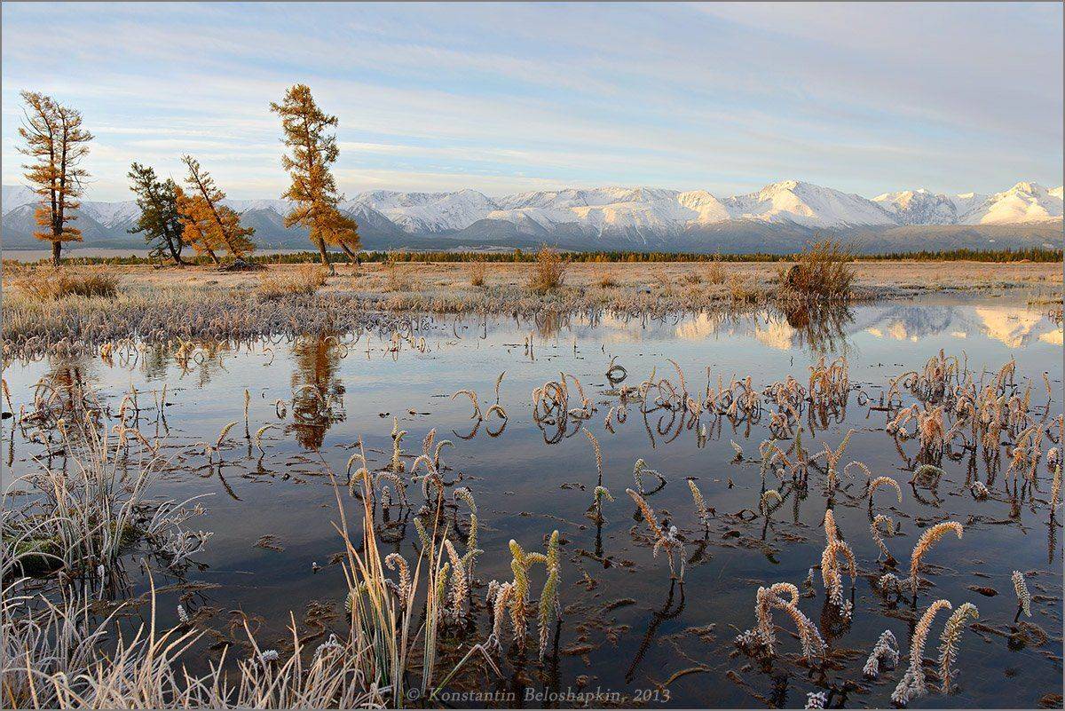 алтай, Константин белошапкин, курай, Растючка, Северочуйский хребет, утро, Константин Белошапкин