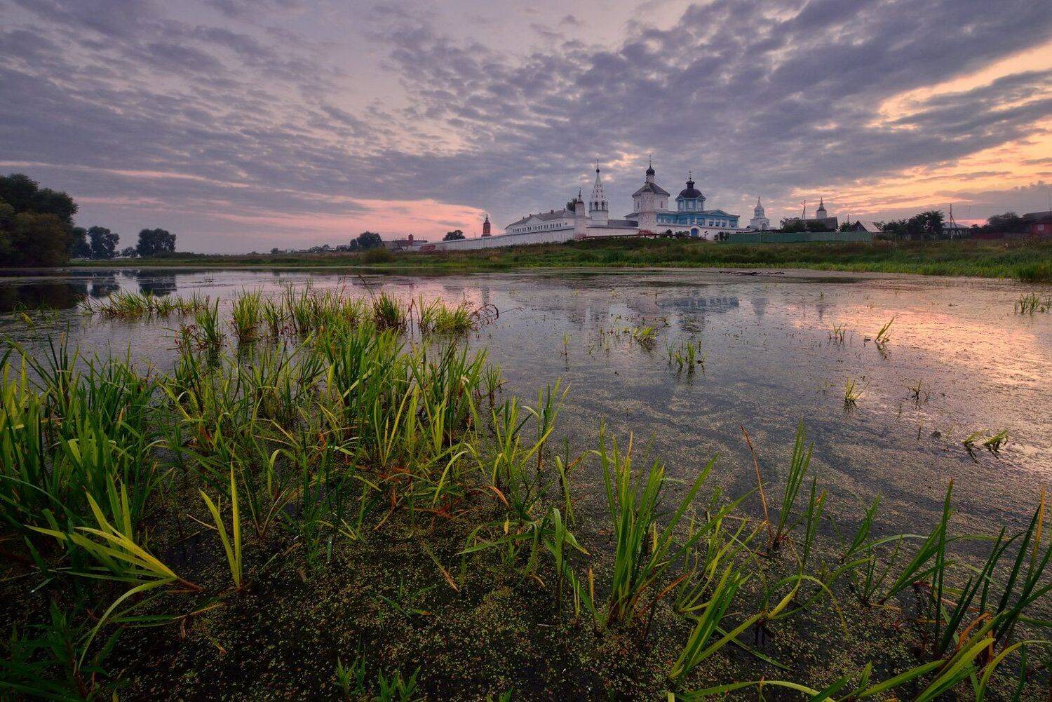 , Максим Евдокимов