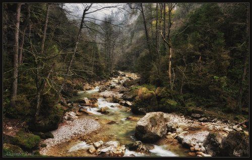 Бежит по ноябрю Курджипс...