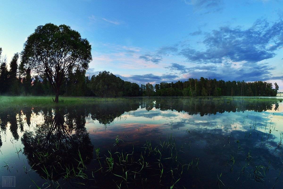 , Дмитрий Доронин