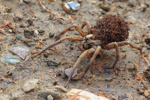 Семейная прогулка