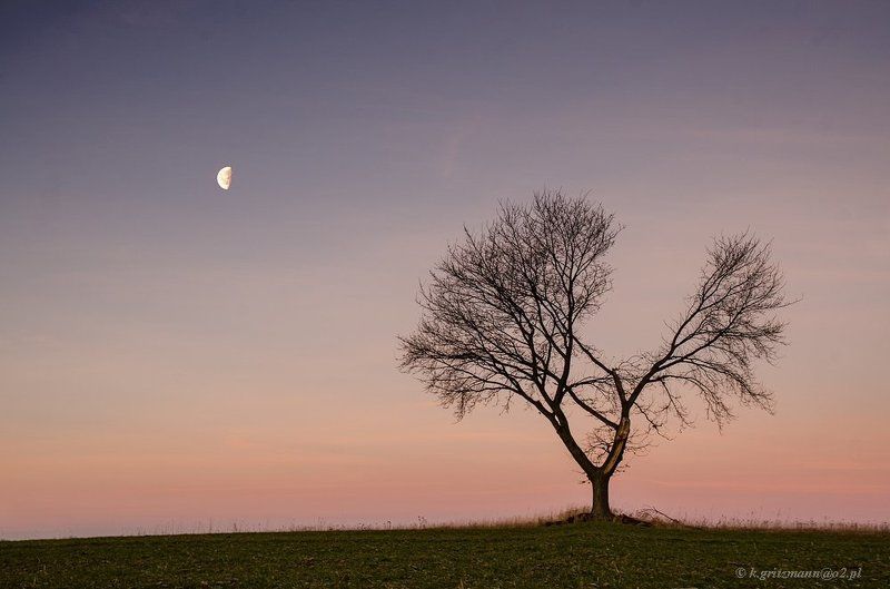 under the moon фото превью