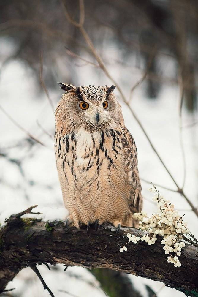, Александра Савенкова