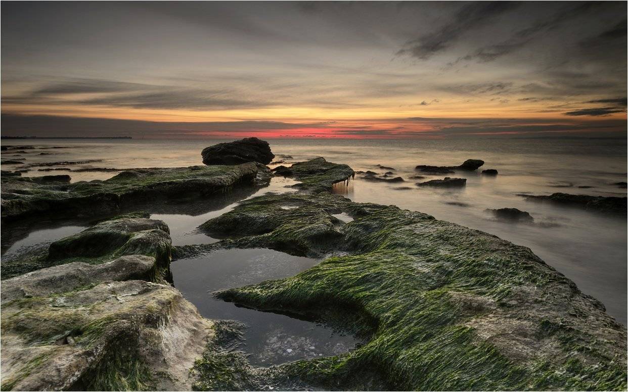 , Румен Паисиев