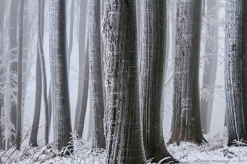 The Essence Between Us (Part.IV.) фото превью