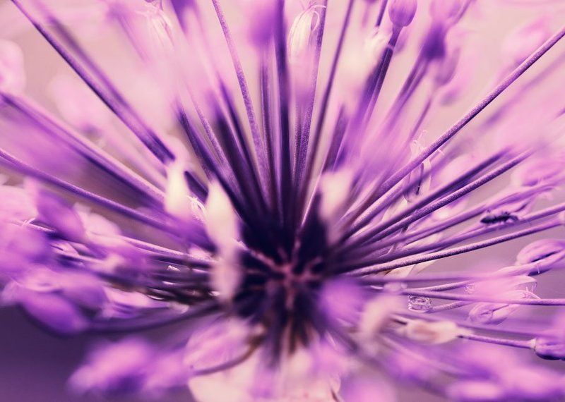 космос фото превью