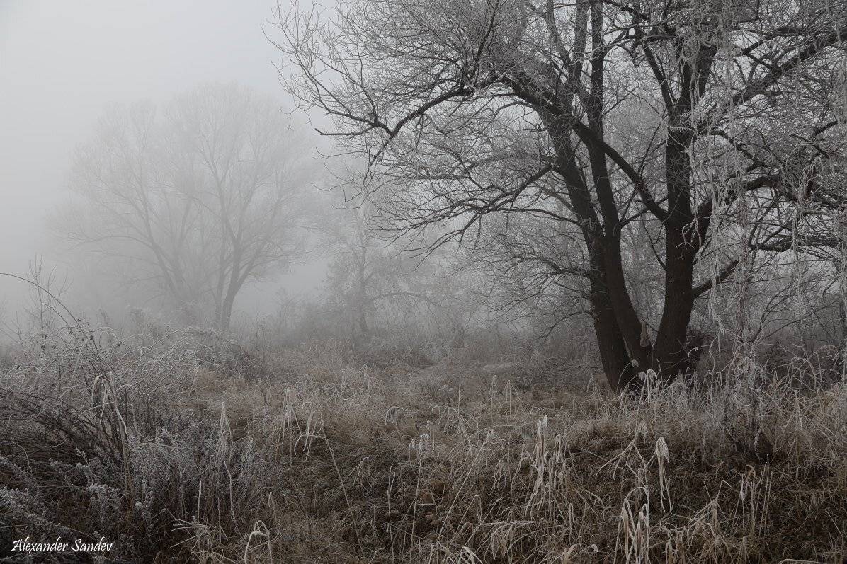 , Александър Сандев