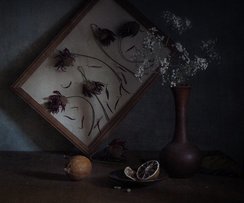 Лимон иссохший, Натюрморт, Сухие цветы Забвение фото превью