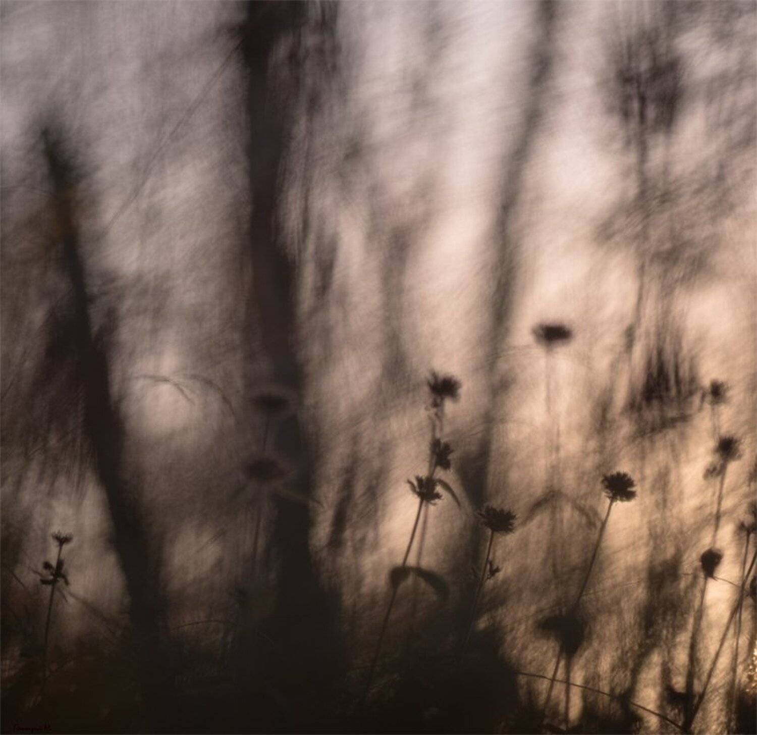 , Геннадий Мещеряков