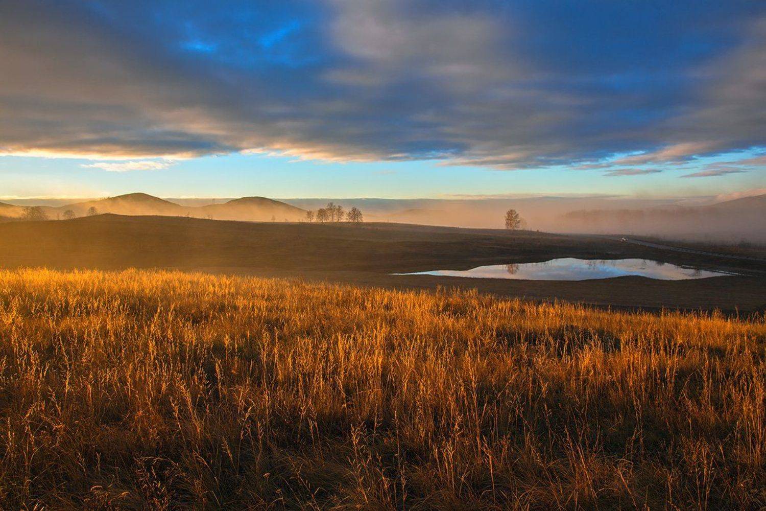 , Александр Сысуев