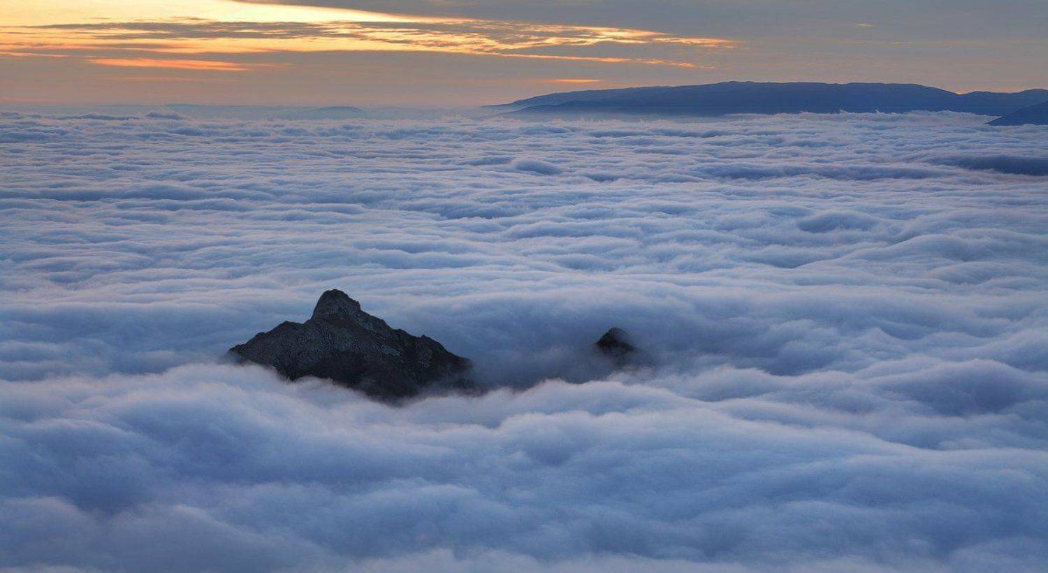 , Михаил Псарёв