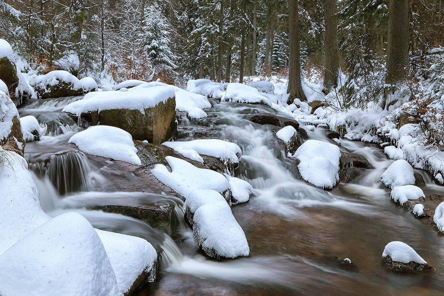 , Игорь Дубровский