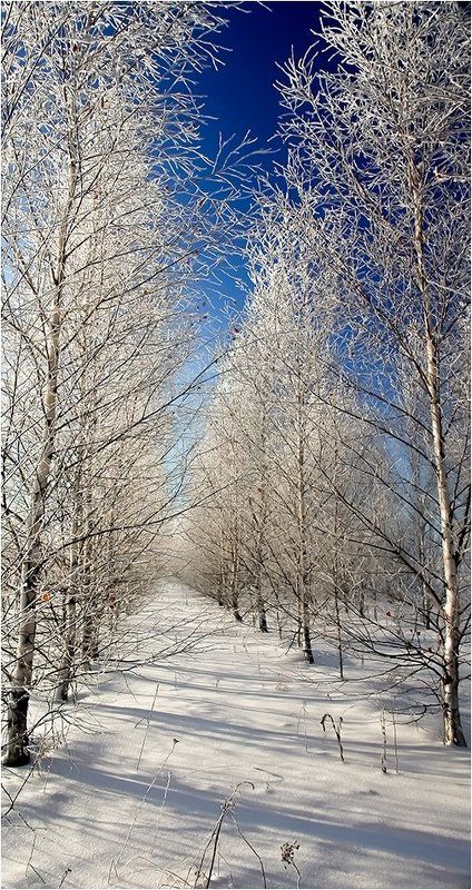 Уходит год очередной... фото превью