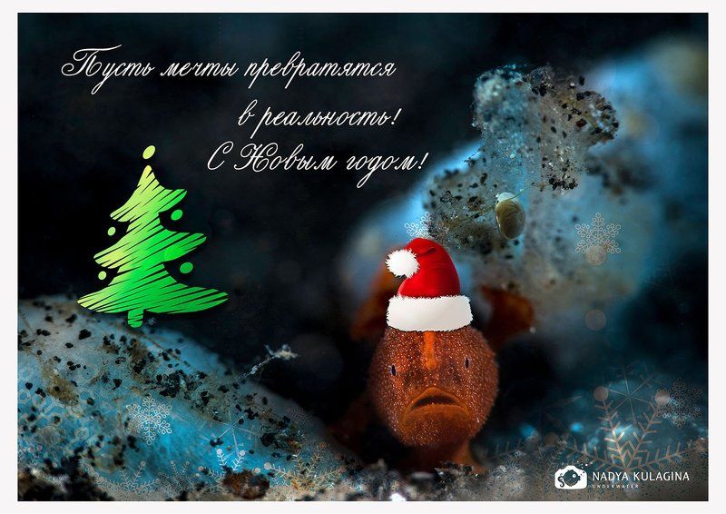 С Новым годом! фото превью