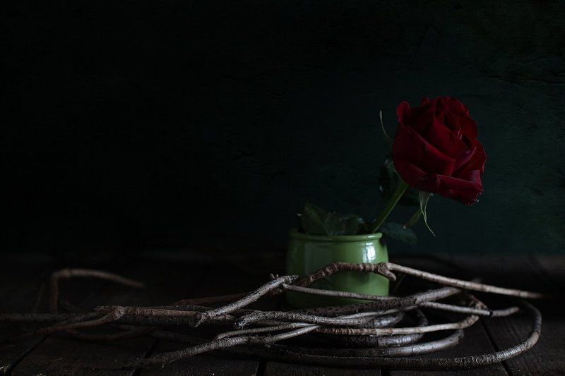 натюрморт Белый свет фото превью