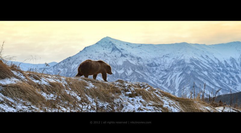 Своей дорОгой фото превью