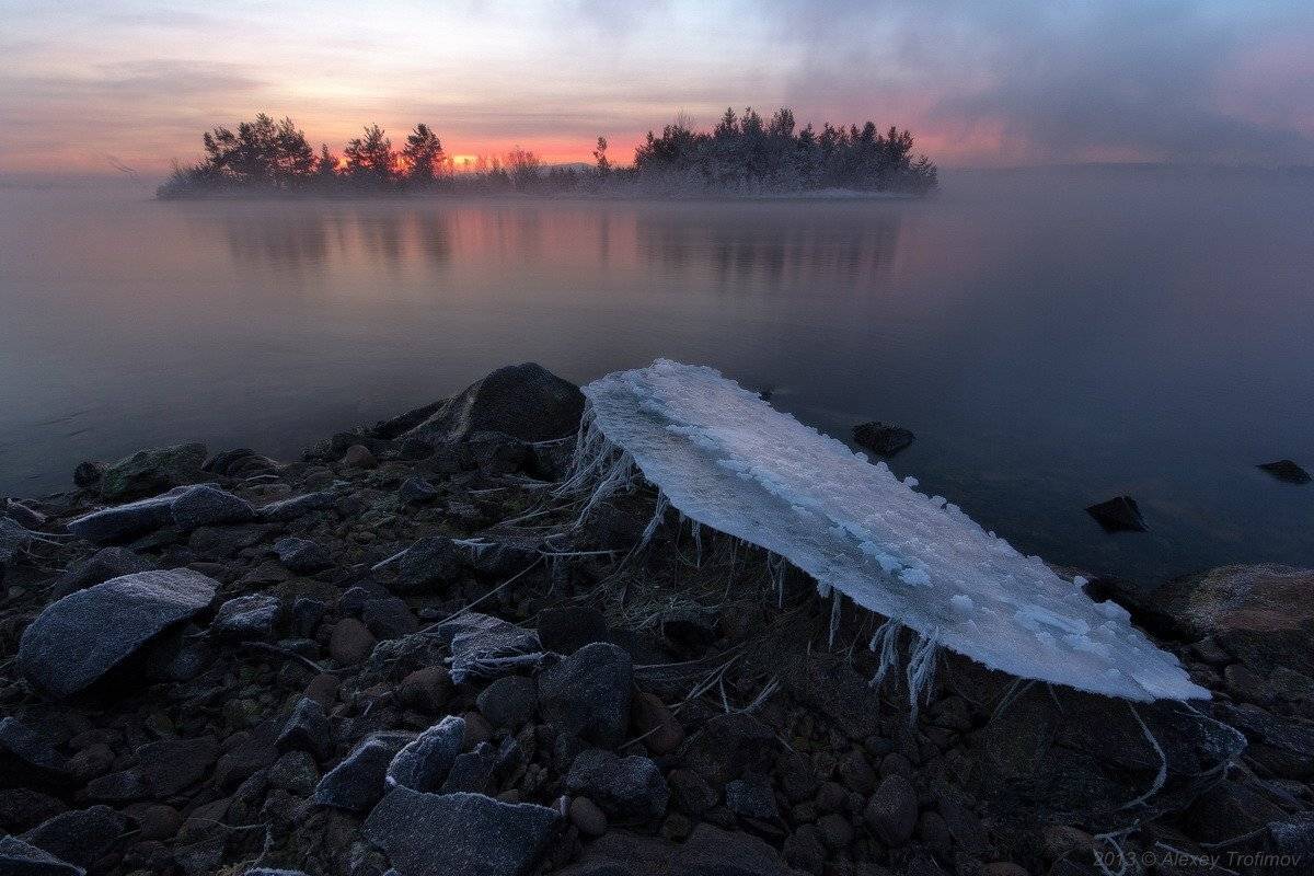 , Алексей Трофимов