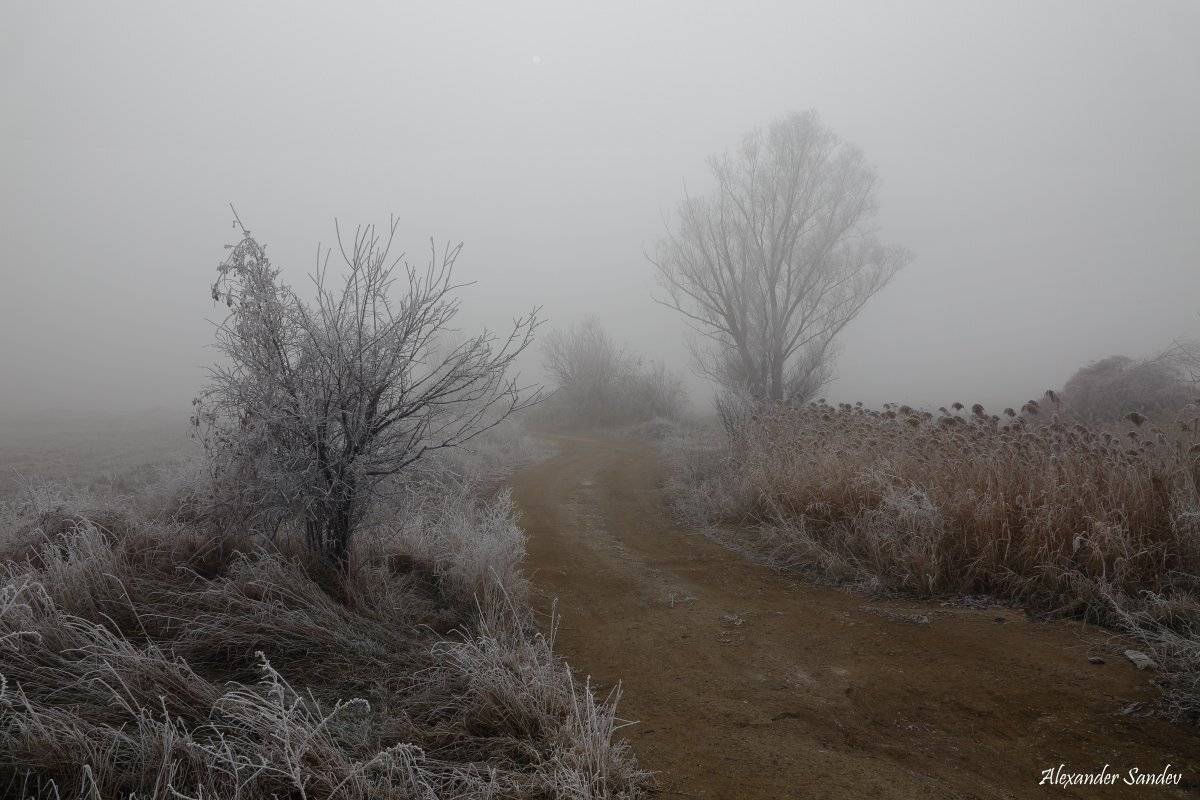 , Александър Сандев