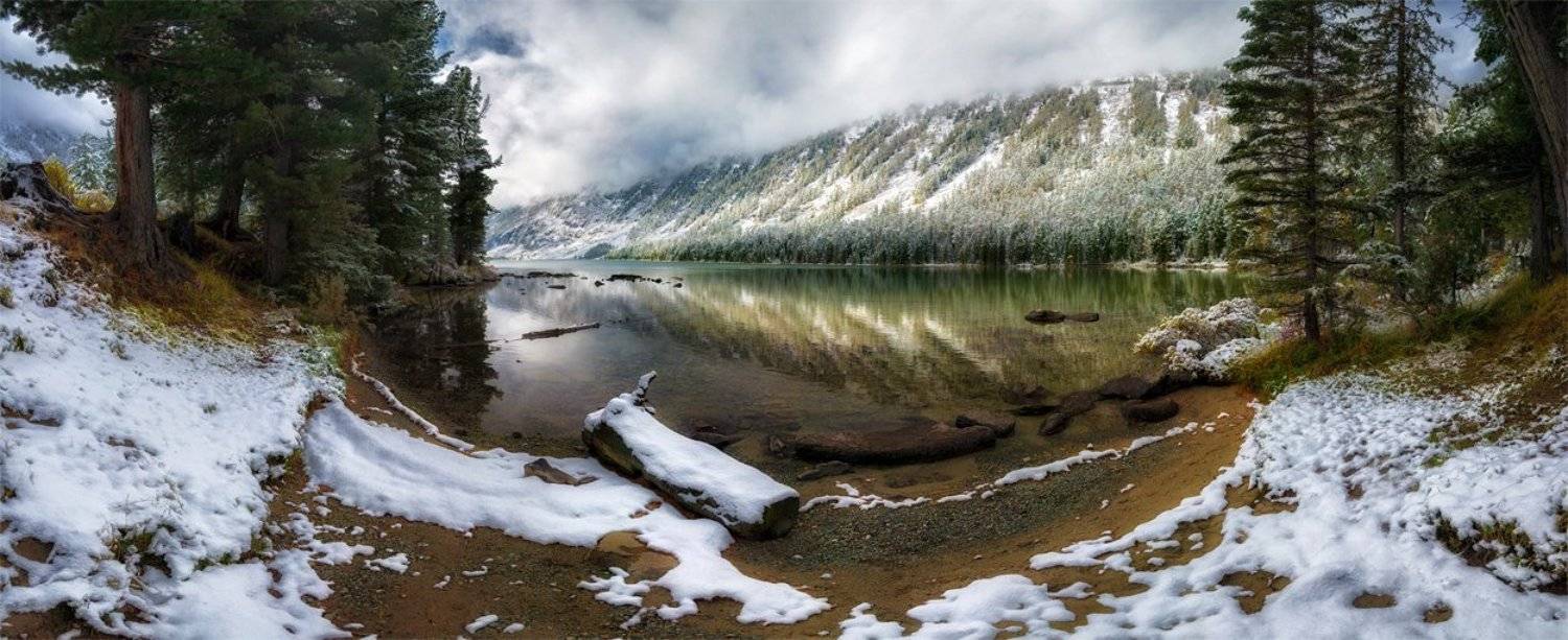 , Андрей Грачев