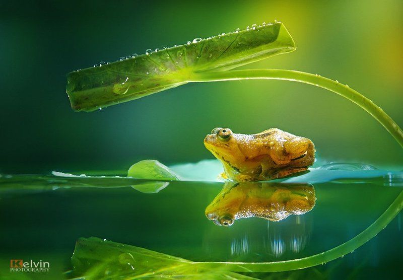 Trú Mưa фото превью