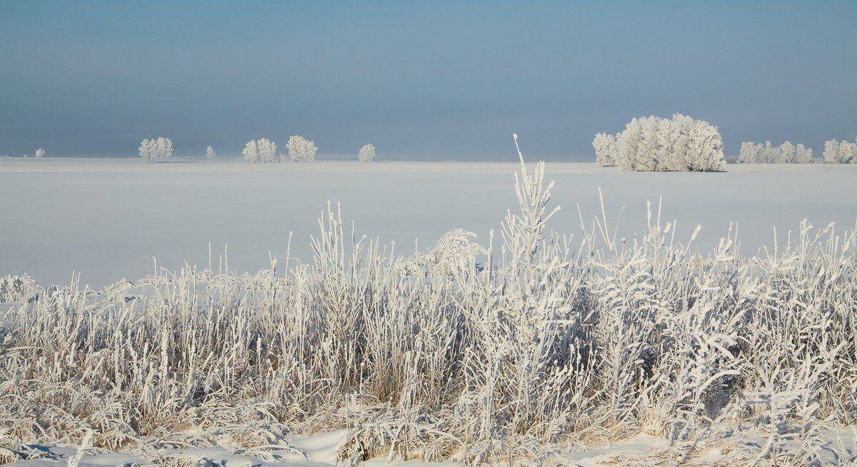 , Николай Морский