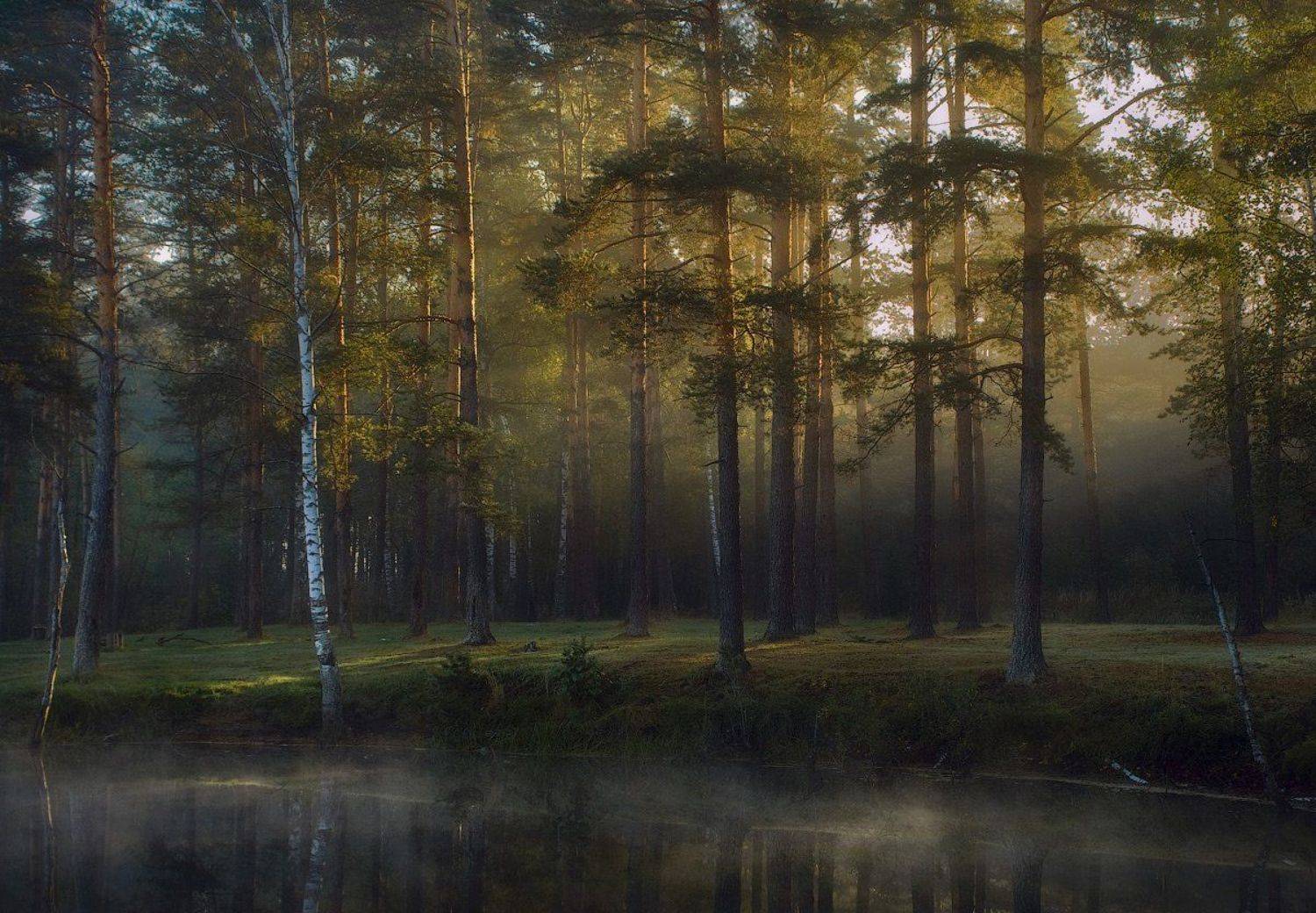 , Дмитрий Алексеев