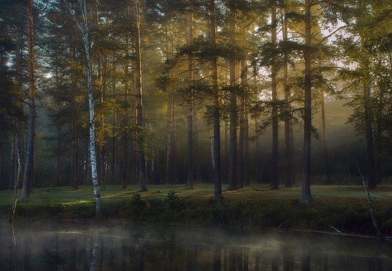 ***** фото превью