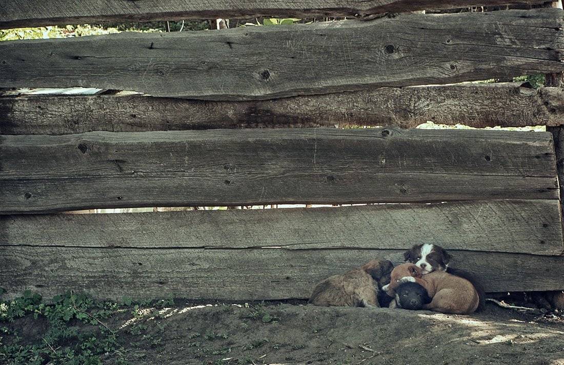 , Радковская Наталья