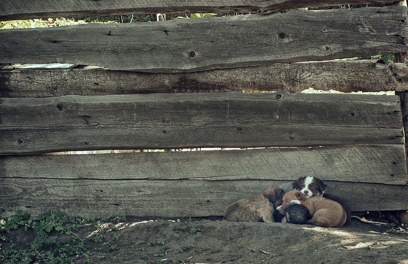 *** фото превью