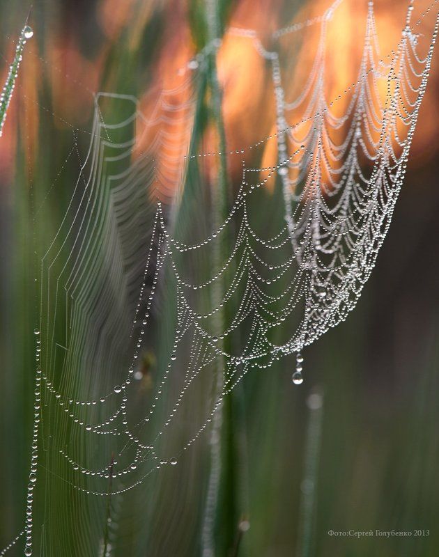 ***** фото превью