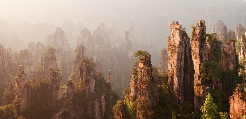 Pandora rising фото превью