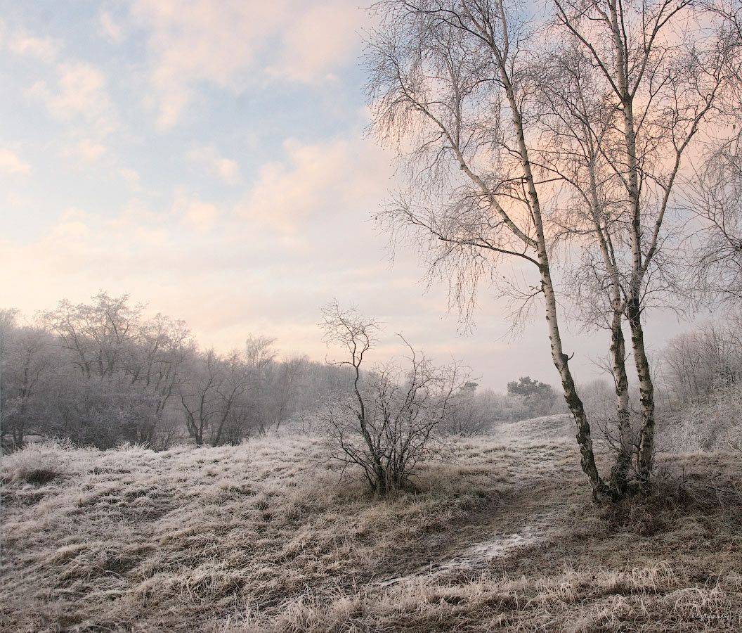 , Олег Иванов