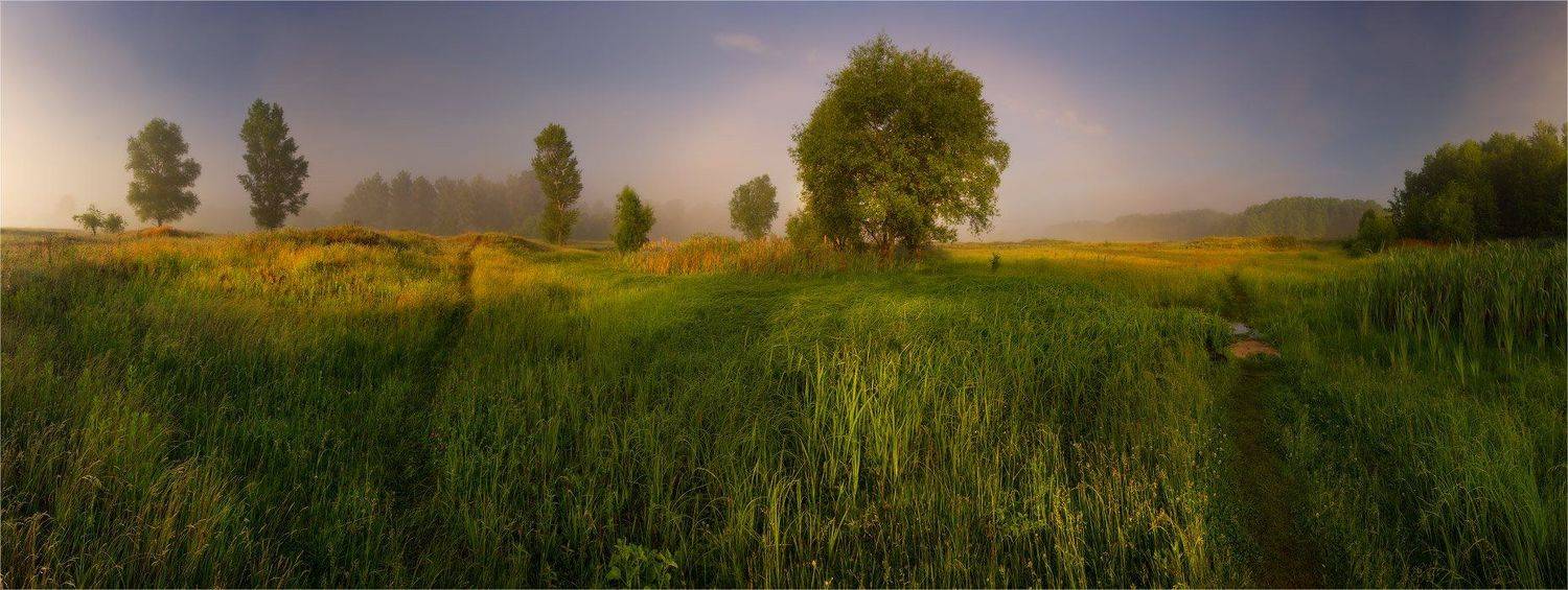 , Александр Киценко