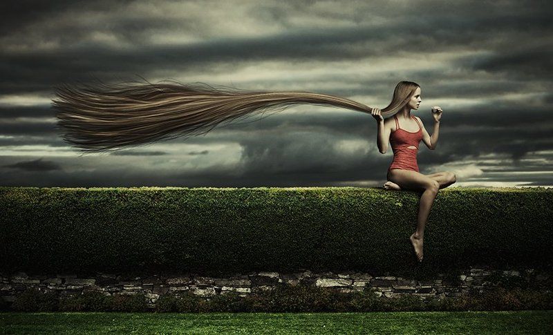 gone with the wind фото превью