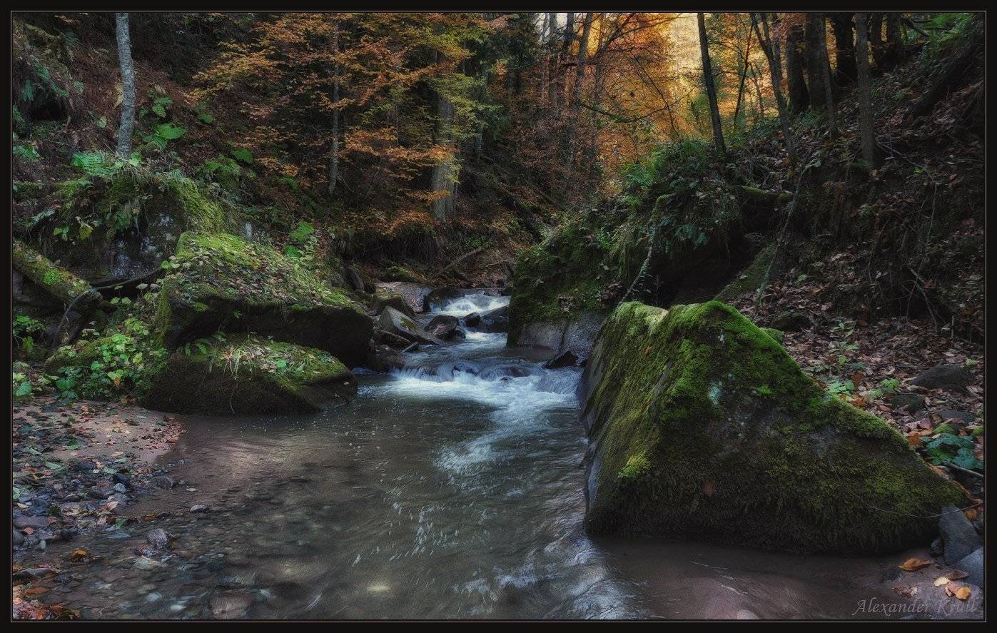 кавказ, кчр, рожкао, осень, река, лес, Александр Круль
