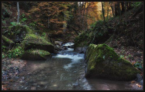 По осеннему Рожку...