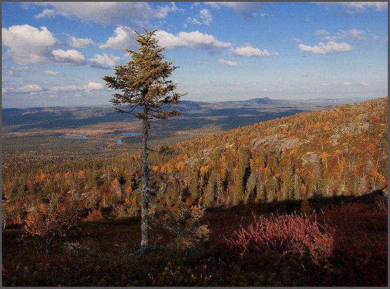 Карелия осень.Ландшафты Паанаярви. фото превью